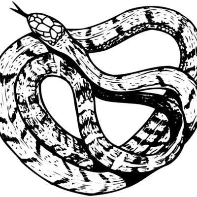 SNAKE003 Thumbnail